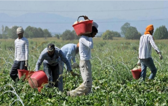 Foto Libretto del Lavoro